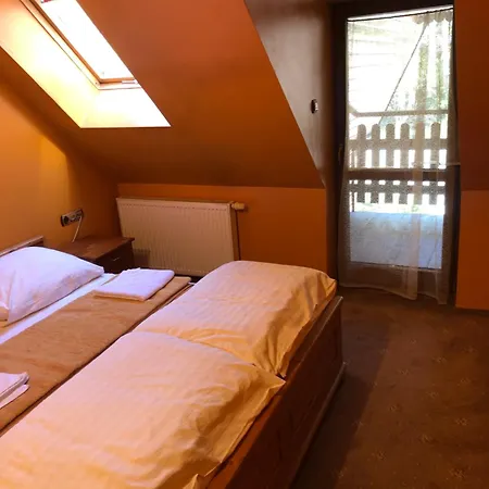 Hotel Pasterniki *