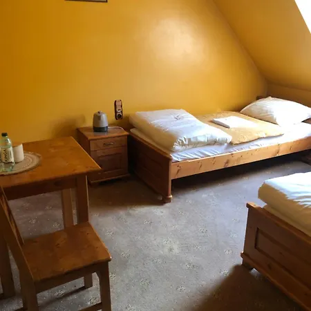 Hotel Pasterniki *
