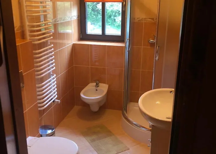 Pasterniki מלון *