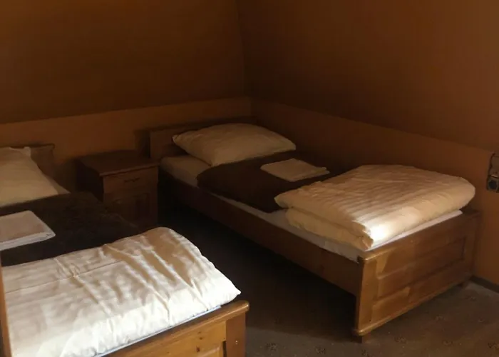 Pasterniki מלון *